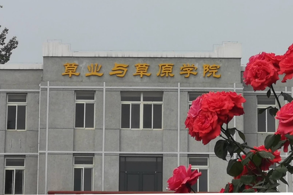 3d9a3ea125b54ac8b8bf4fca73f0fce7.jpg a92cff8dad76a9709267c10085d28d3_副本.jpg