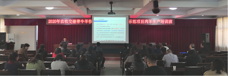 67bcc80a7ff54e83b30d97790d9b03fd.png 3.png