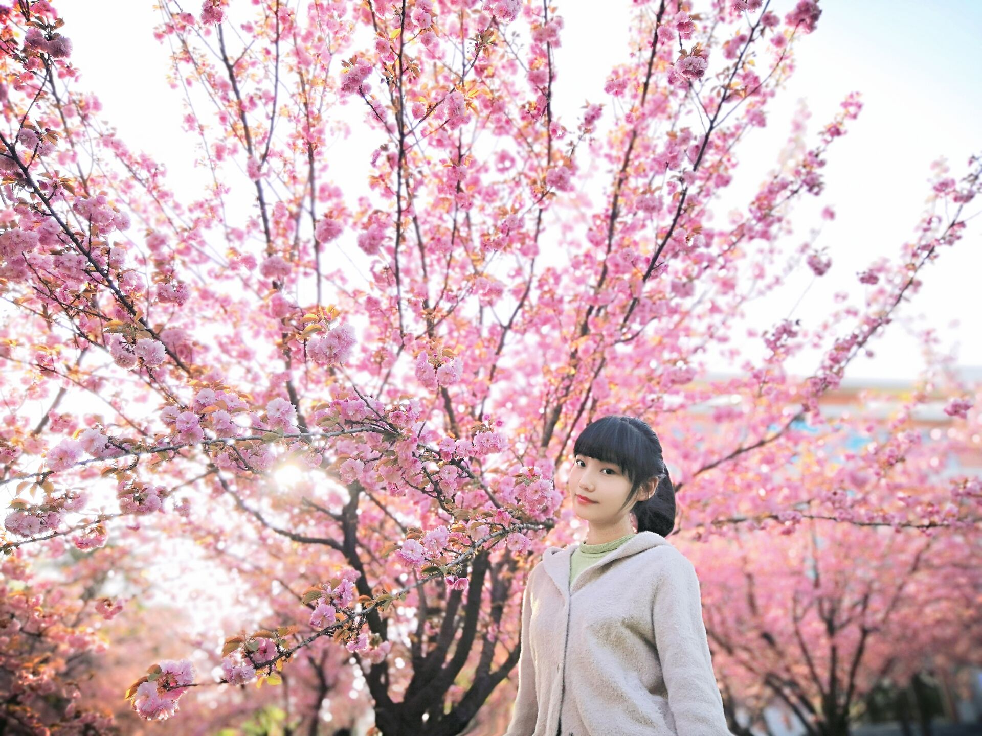 12eb44aa21054c978c091f26e65a6202.jpg 12eb44aa21054c978c091f26e65a6202.jpg