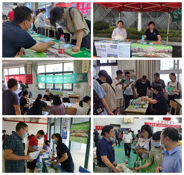 479e73e5f985410db87ab6fedf56681b.jpg NeoImage_副本_副本.jpg