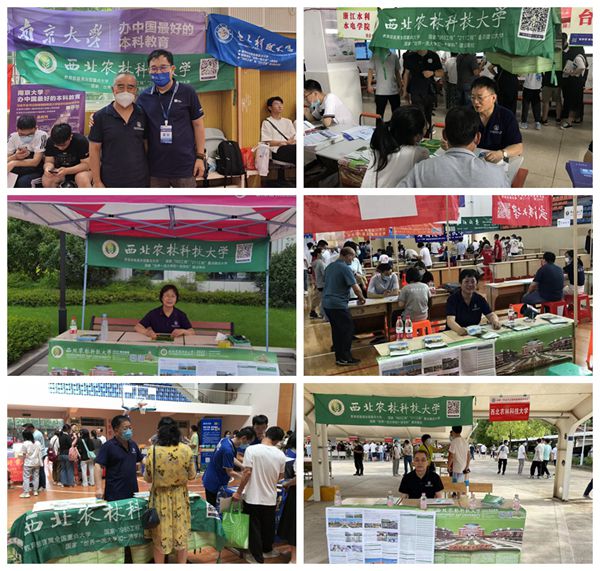 bded31153d1e44ef936b1497dee2821f.jpg NeoImage_副本.jpg