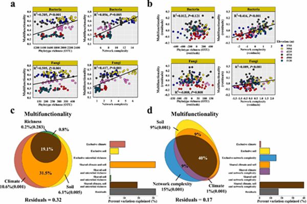 6380028e1e5c4982a12926c317630cb7.jpg 图2 土壤微生物多样性及网络复杂性与生态系统功能的关系.jpg