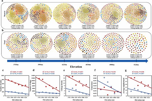 c0e068ca740a402b8818c3c733106756.jpg 图1 不同海拔梯度下微生物共现网络.jpg