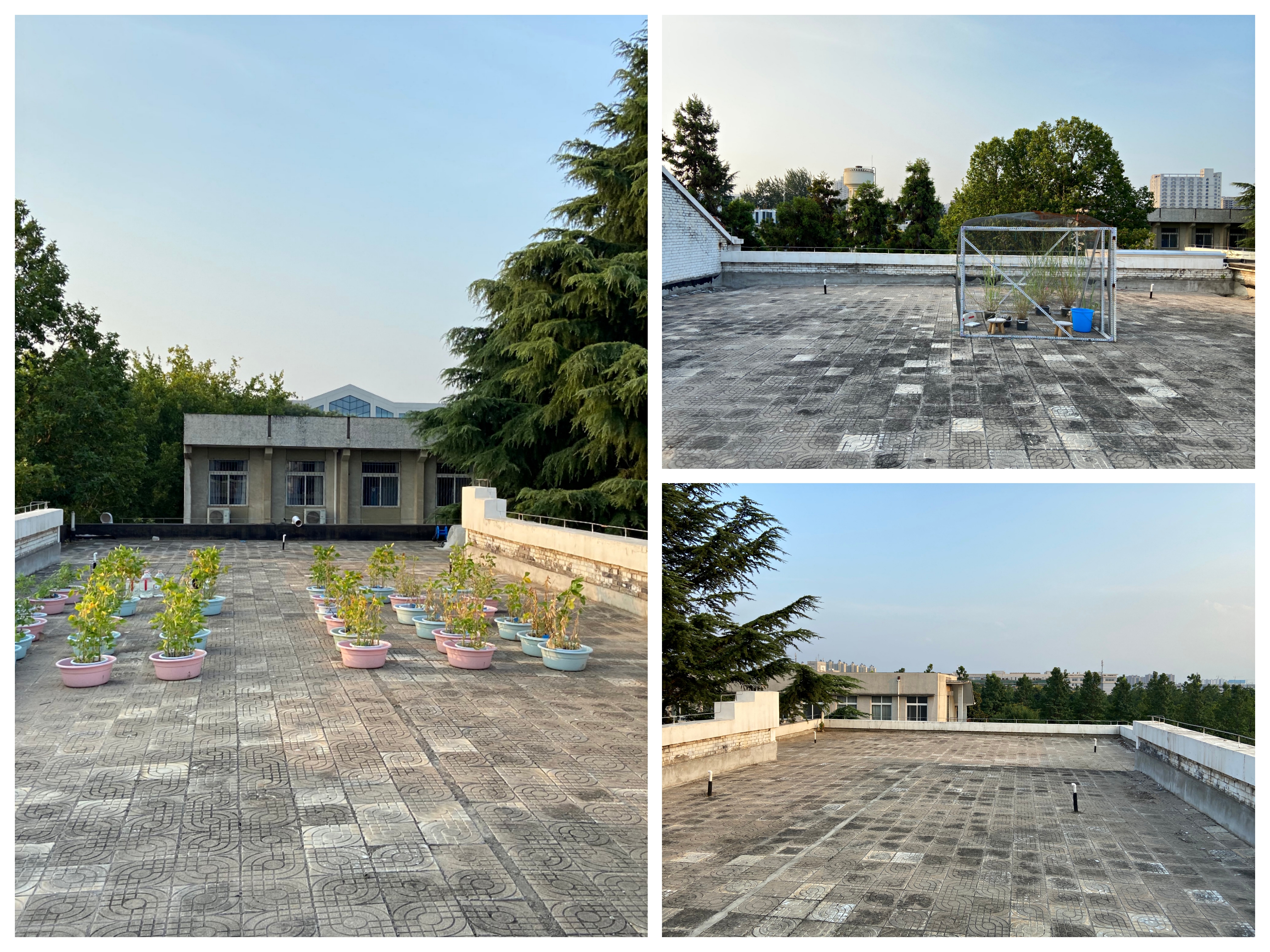 80a5b51c1b244eef8b23af630aaaa46e.jpg 80a5b51c1b244eef8b23af630aaaa46e.jpg