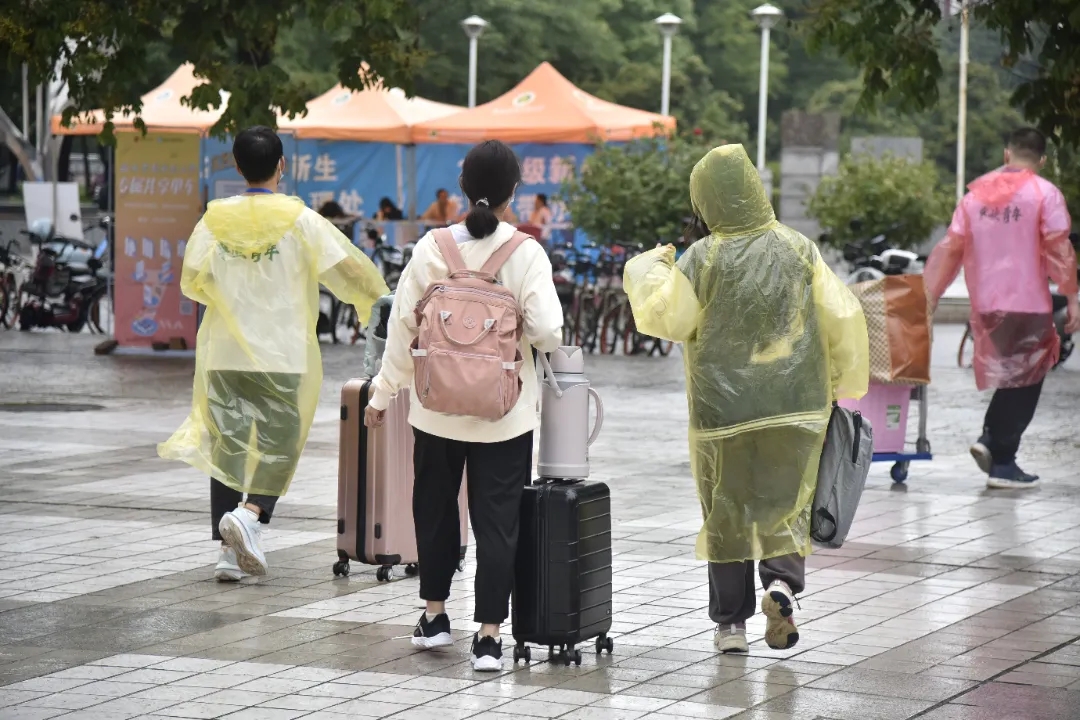 2950e1f85b124a708c84f8066090bbd2.jpg 2950e1f85b124a708c84f8066090bbd2.jpg