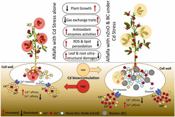 9accb0c3c834452483408233d85d9bab.jpg 摘要图_副本.jpg
