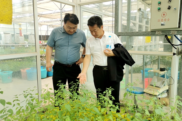 41eb58f277504502b355190800312466.jpg 考察牧草教学实验温室.jpg