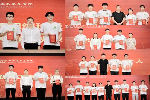 5174d0d55b72477384580956673e5a04.jpg 表彰颁奖_副本.jpg