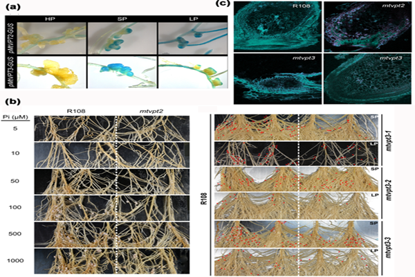 db6629548a8f42edafdcc5caca22e3b6.png 111_副本.png