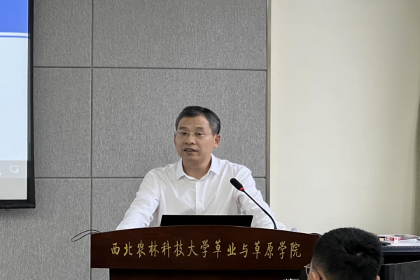 64798978781349e0bbd6f7bff3542139.png 75.png