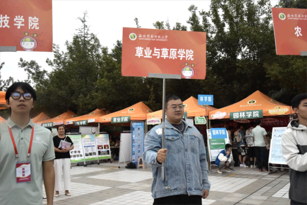 8fcb7ef09aa74c6d9aacfd6fb4d1e0d4.png 82.png