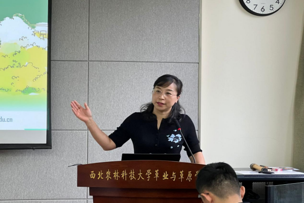 ad8049701e5c45d8b28576075eb81952.png 73.png