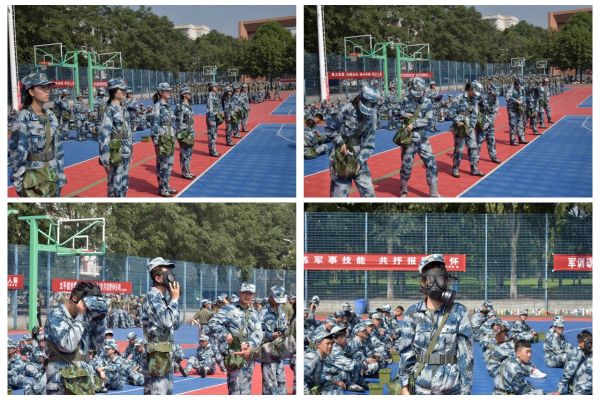 1853636644784a60bda041966e01f901.jpg 2.jpg