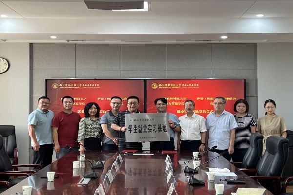 642a2fb768c24bff8e873757049419bb.jpg 6.jpg