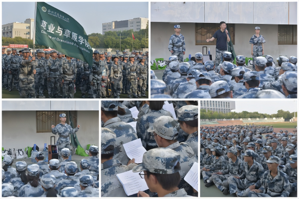 97ae5a04994747e8a6e4999849c88979.png 3.png